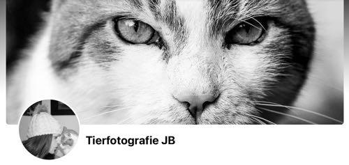 Tierfotografie JB Künstlerin