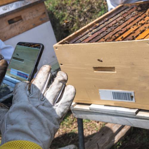 Bienenstände digitalisieren